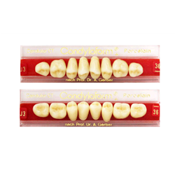 DENTI CERAMICA CONDYLOFORM...