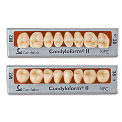 DENTI COMPOSITO CONDYLOFORM...
