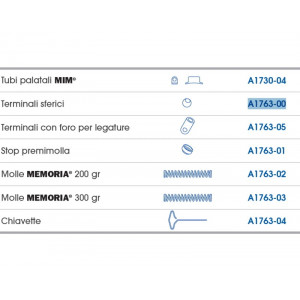 MOLLE MEMORIA FAST BACK...
