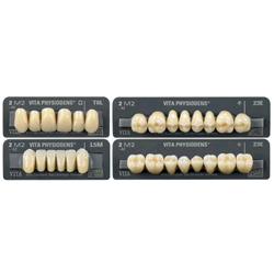 DENTI PHYSIODENS ANTERIORI...