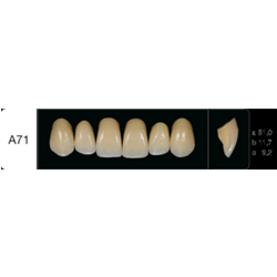 DENTI CREAPERL FRONTALI X6...