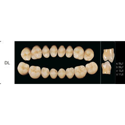 DENTI CREAPERL DIATORICI X8...