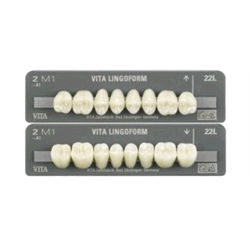 DENTI LINGOFORM X8 (DENTILING)