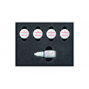AKZENT PL CHROMA STAINS KIT...