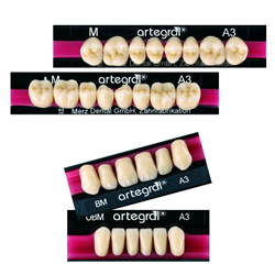 DENTI ARTEGRAL X6 (ARTEGRAL6)
