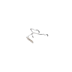 REMBERTI 1262.0001 OCCHIALI...