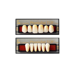 DENTI PHYSIOSET RES. TCR X6...