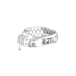 BANDE WEB E8860-25 LR Pz.5...