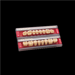 DENTI RESINA SR ORTHOTYP PE...