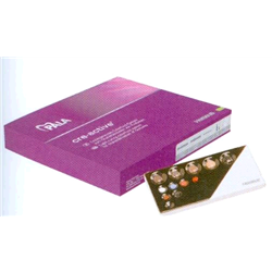 CREACTIVE SET 66033446...