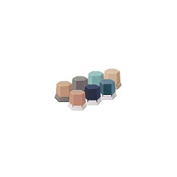 CERA 497.1300 GEO MENTA...